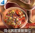 阜新无痛人流多少钱